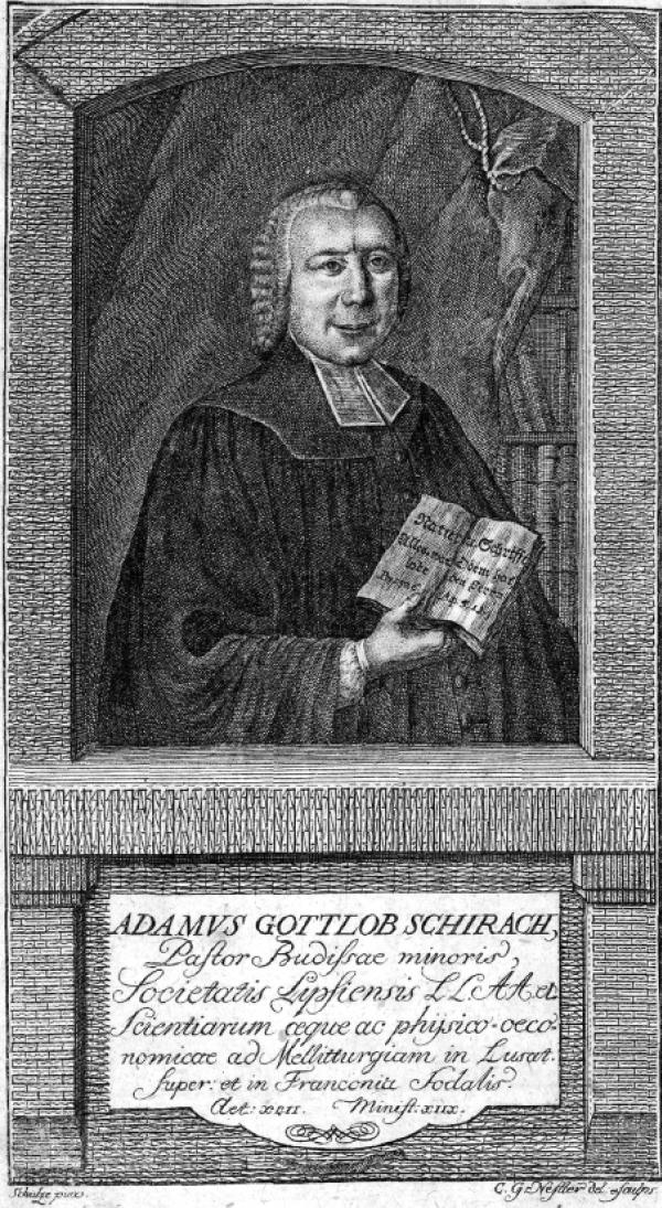 Hadam Bohuchwał Šěrach (1724–1773) běše wuznamny serbski přirodospytnik, pčołar a awtor spisa »Melitto-Theologia. Die Verherrlichung des glorwürdigen Schöpfers aus der wunder volen Biene«.  Wobraz: Serbski kulturny archiw