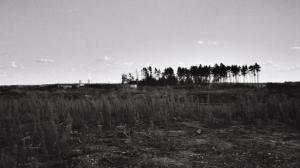 Bog ten Kněz jo stw&oacute;rił Łužycu a cart jo narył brunicu...