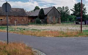 Miłoraz, 10.06.2023, Ležownosć prědku je hižo zrunana, za twarskimi płotami maja so čwaki dalšich ležownosćow dozrunać.  Foto: Christiana Piniekowa