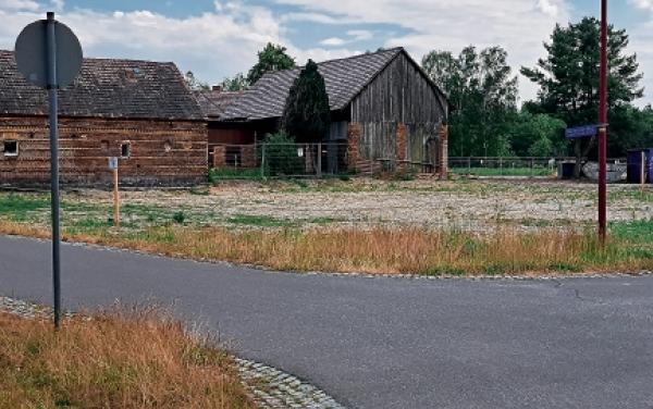 Miłoraz, 10.06.2023, Ležownosć prědku je hižo zrunana, za twarskimi płotami maja so čwaki dalšich ležownosćow dozrunać.  Foto: Christiana Piniekowa