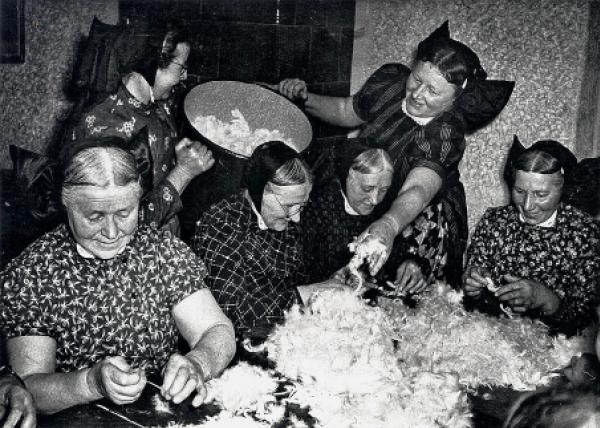 Pjerjodrěće w Bronju (1955)  Foto: Kurt Hajna, Serbski kulturny archiw